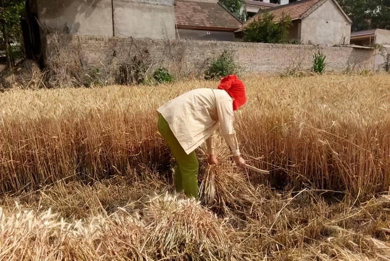 山东女子交往多个情夫，两个情夫一同进房间时，她却要求一个个来
陈梅在网上认识了吴