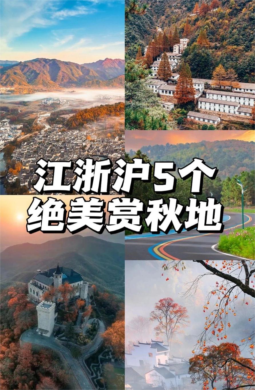 江浙沪周边丨5个赏秋好去处