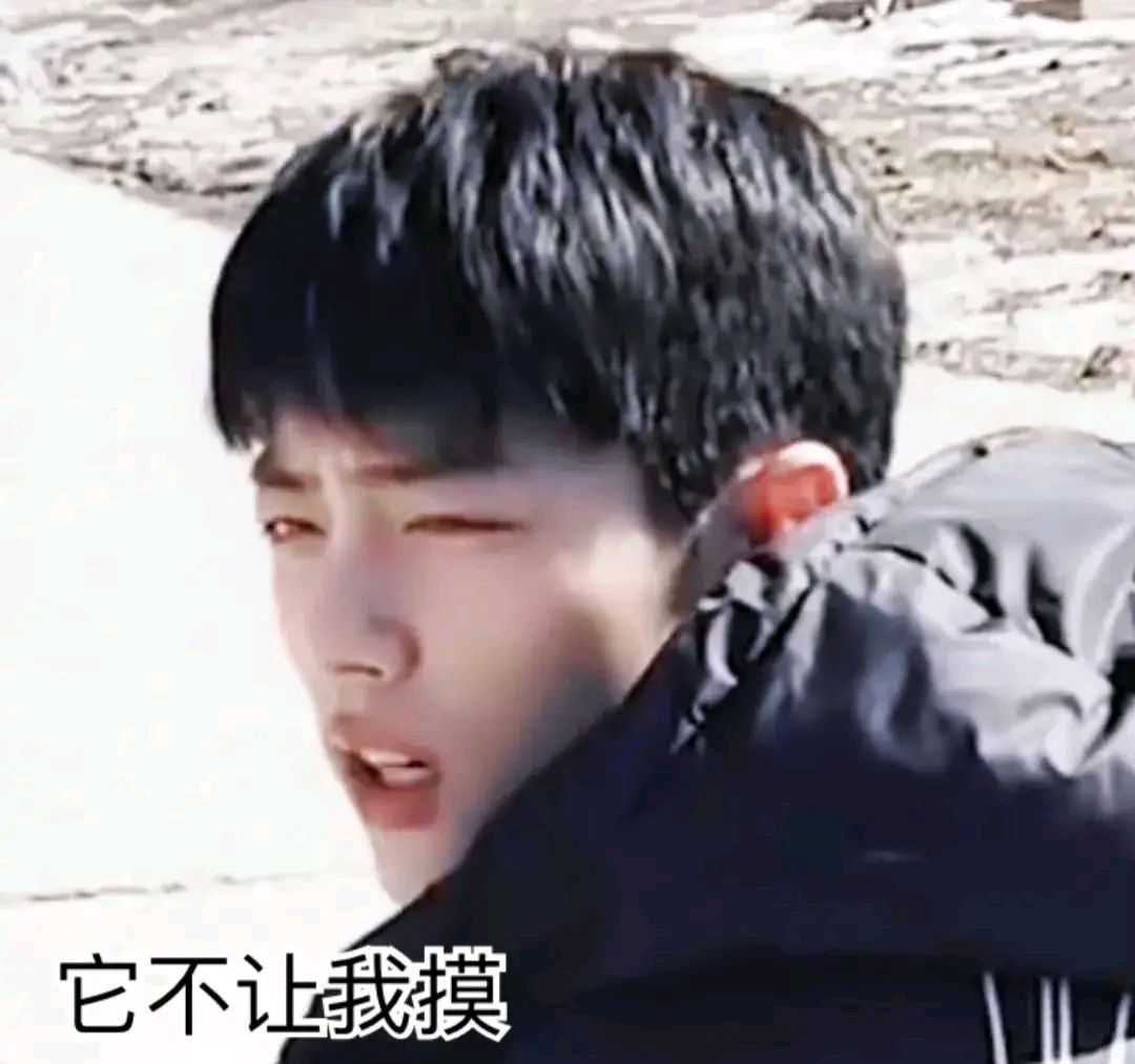 狗狗拒绝了肖春生！狗不理的战战，好可爱
