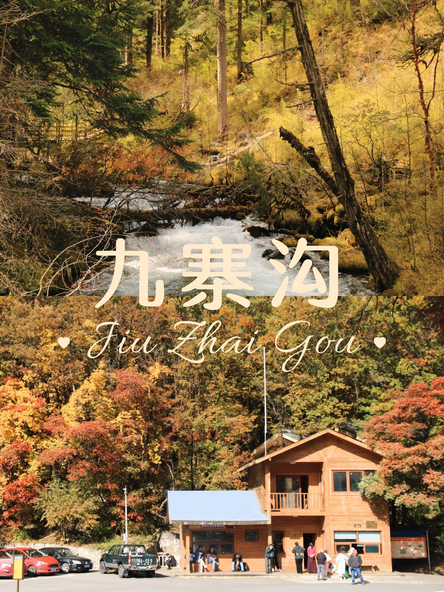 九寨沟的🍁真的绝了‼️