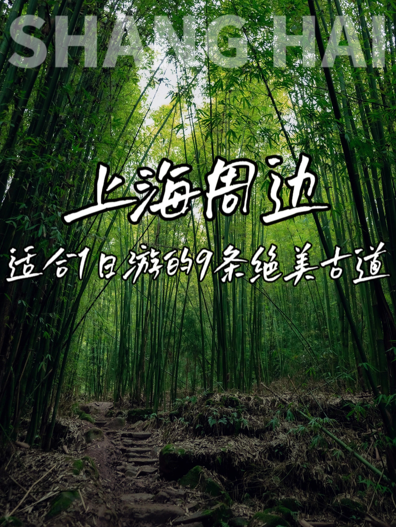 上海周边适合1日游的n条古道，风景绝美