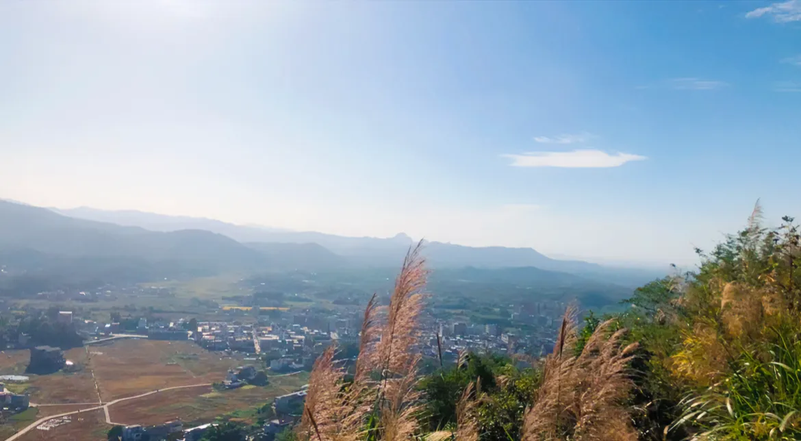 奉劝所有打工人
但凡一个月能赚4000
不管男人女人都不要
回农村躺平
真正每月