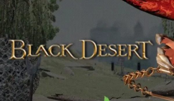 《黑色莎漠》是目前比较火的一款 MMORPG，它的画面漂亮，而且里面的据青很多，给人一种很刺激和有挑站性的感觉。