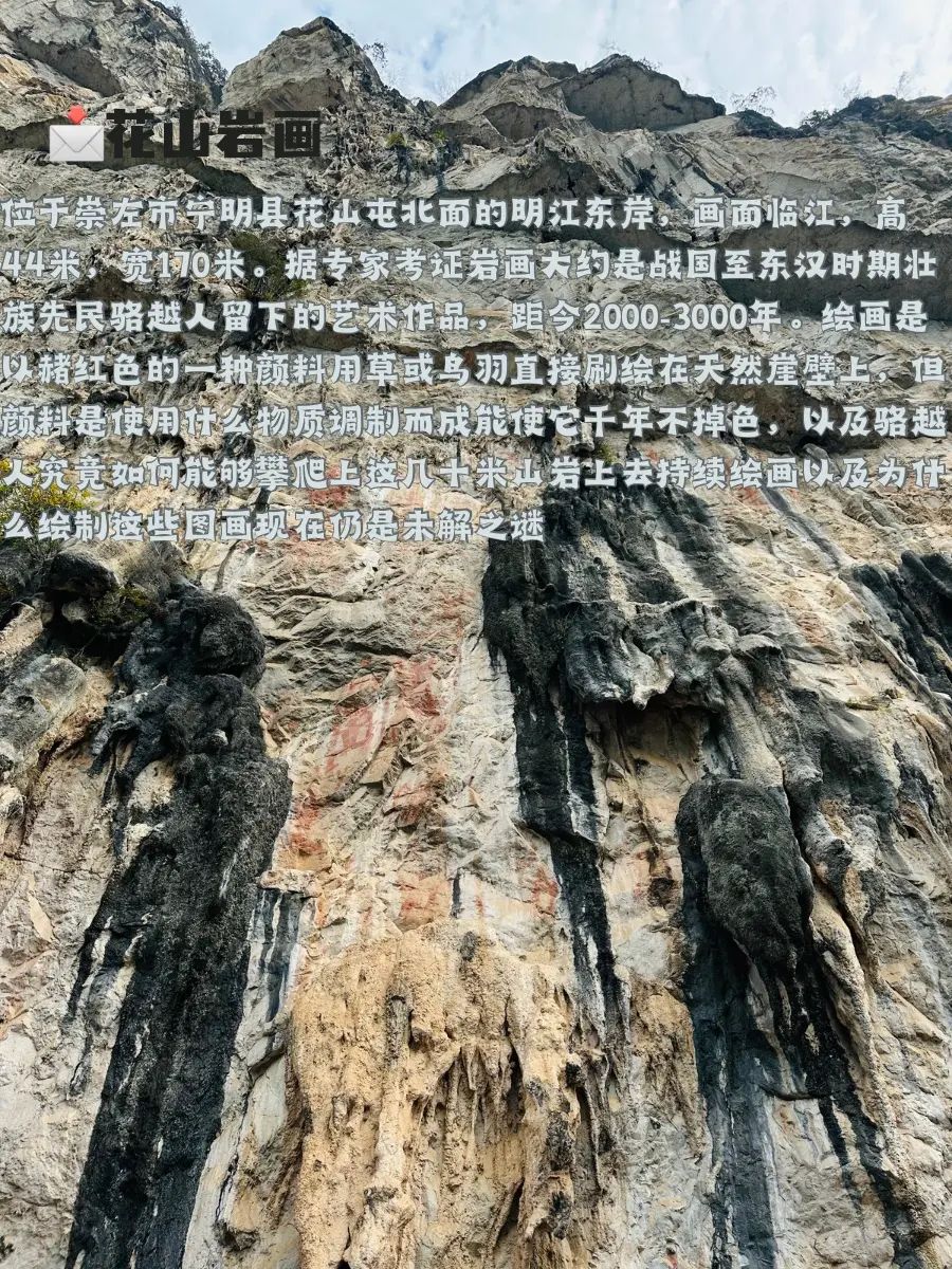别告诉我这些你都不知道，那崇左劝退2️⃣