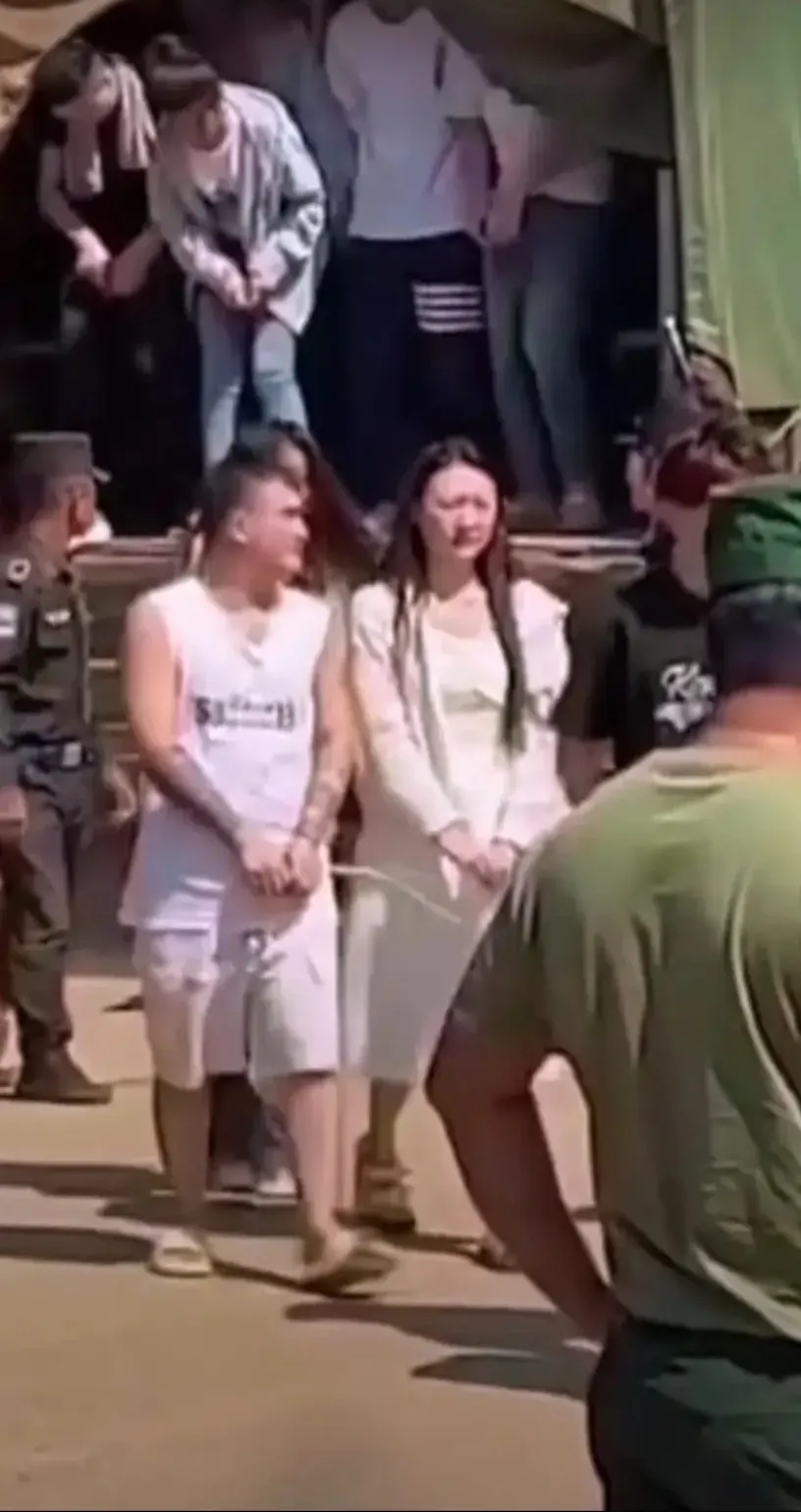 同盟军冒着生命危险，付出了巨大的努力，成功地从诈骗园区解救了上万名中国人。然而，