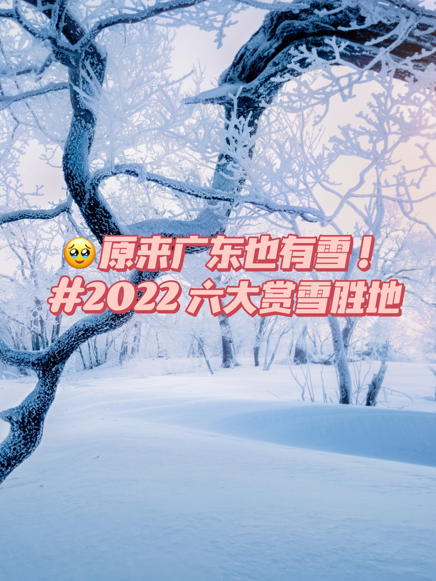 原来广东也有雪！ 6个赏雪❄胜地必收藏！