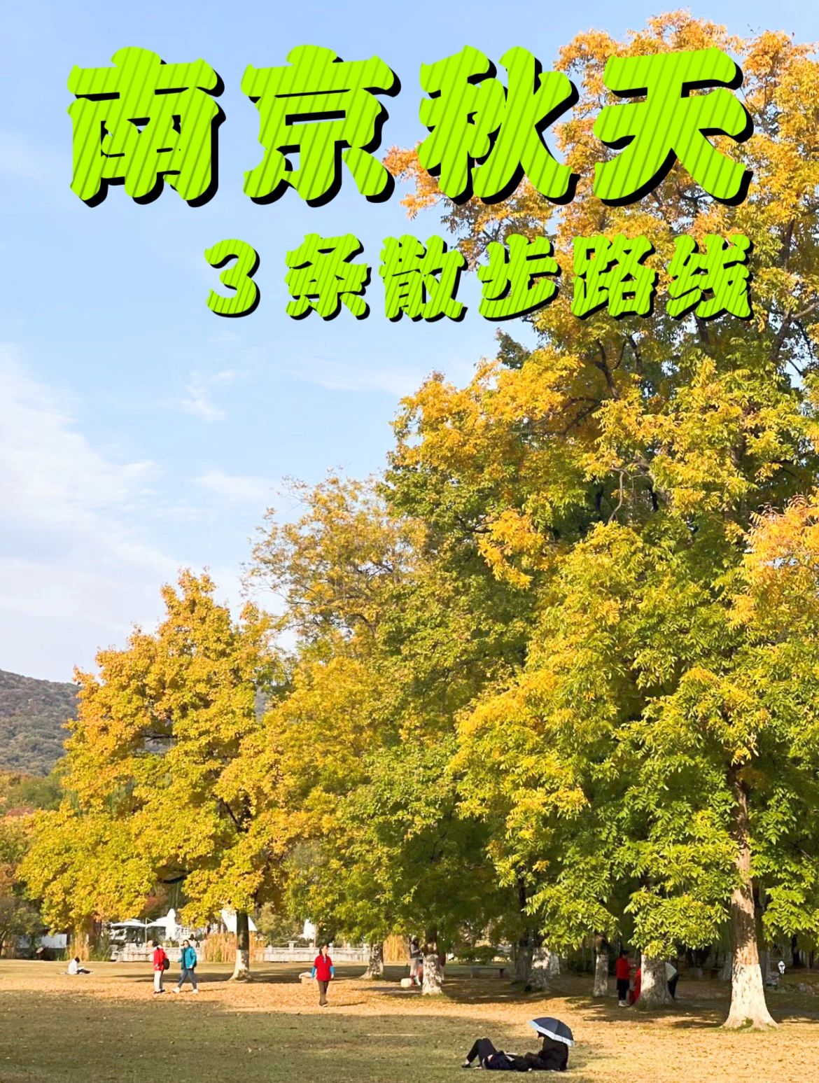 除了梧桐大道！南京秋天3条必玩路线