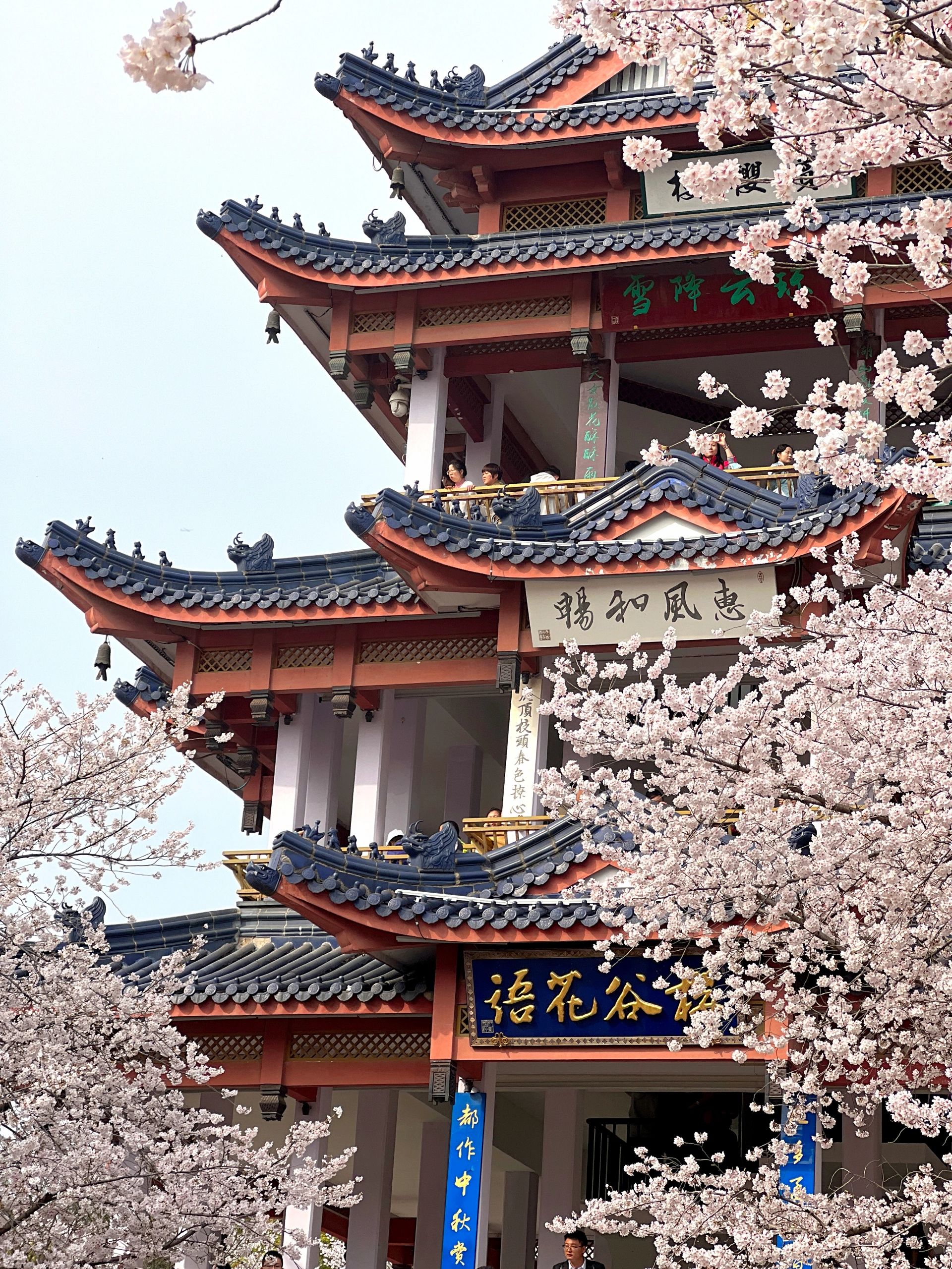 自驾无锡鼋头渚攻略