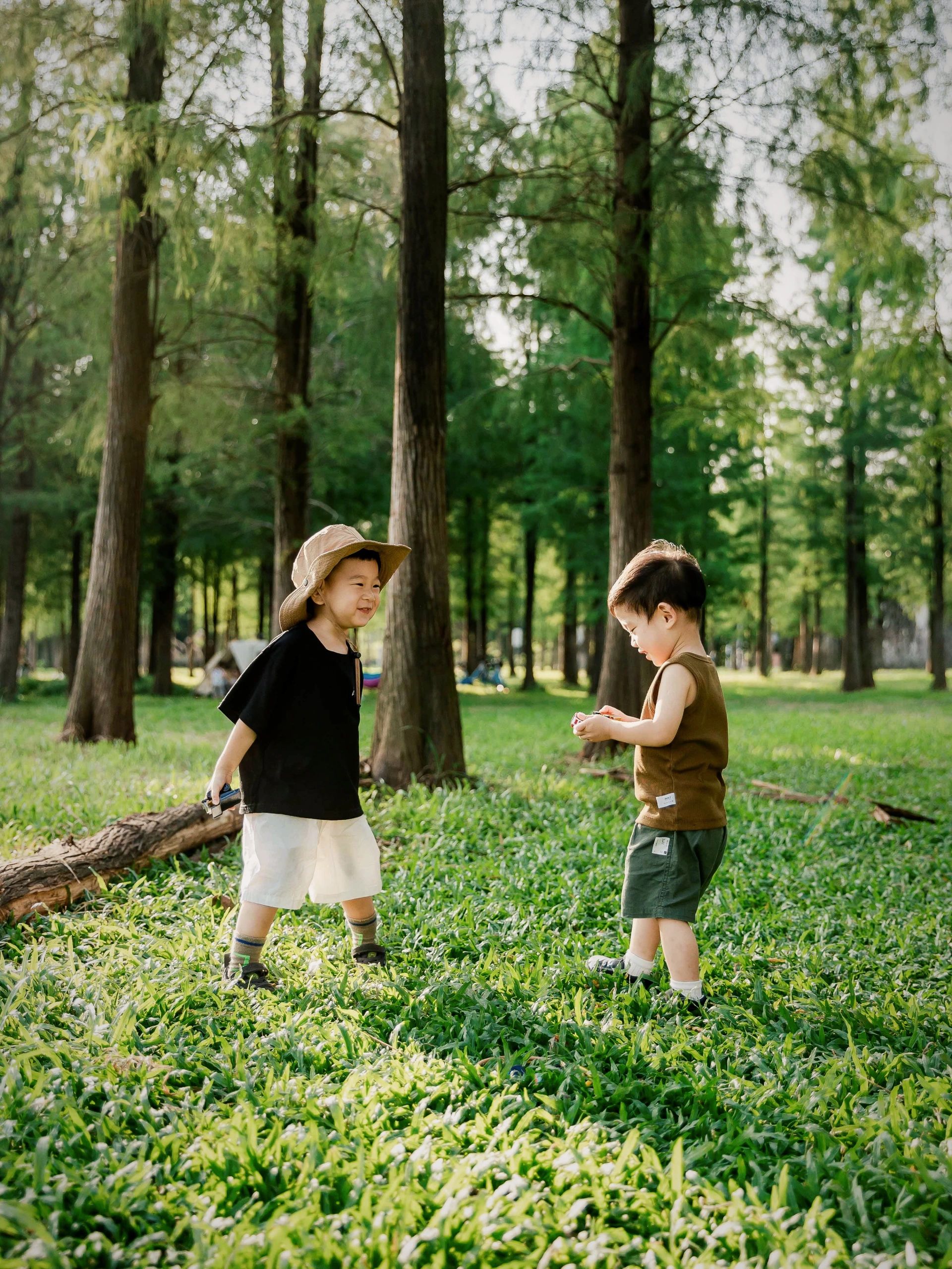 遛娃拍照，秋天露营来这里