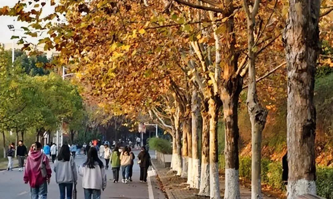 学校一男生殴打女生，旁有几个学生在拍照起哄。一个中年男子见了，过来对男生一顿揍。