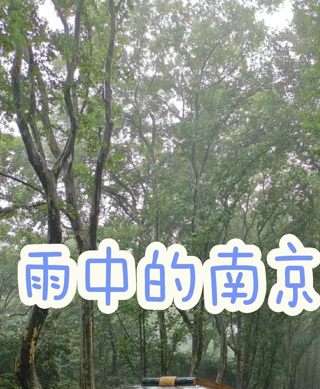 🌧️周一看雨 | 雨中的南京是金陵！