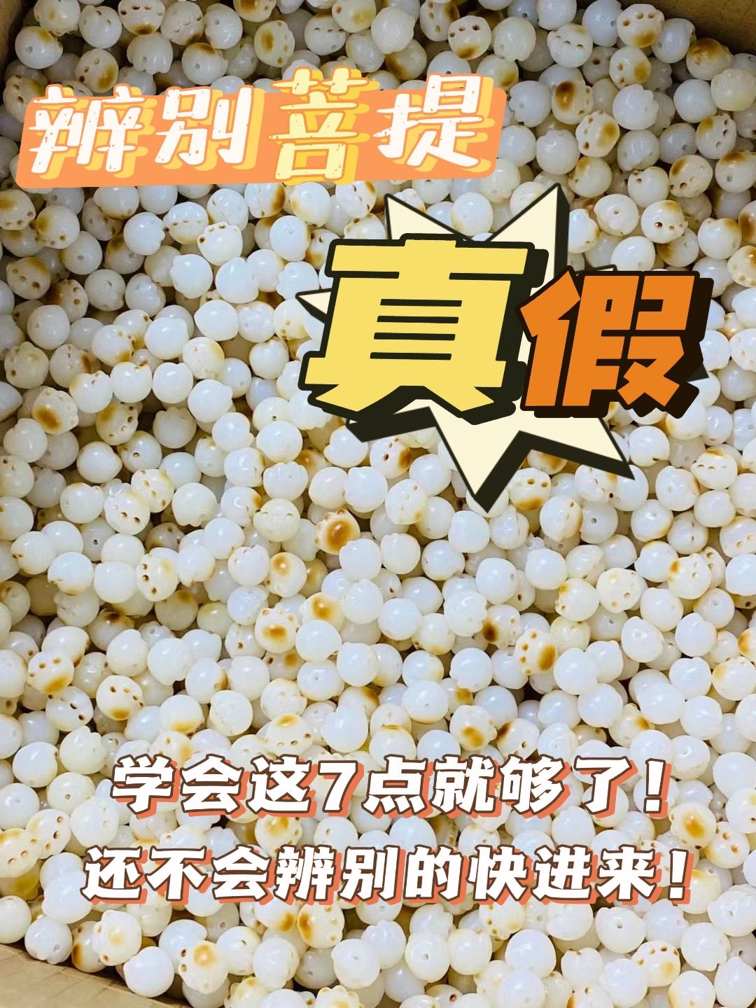 真假菩提辨别！学会这7招就够了！