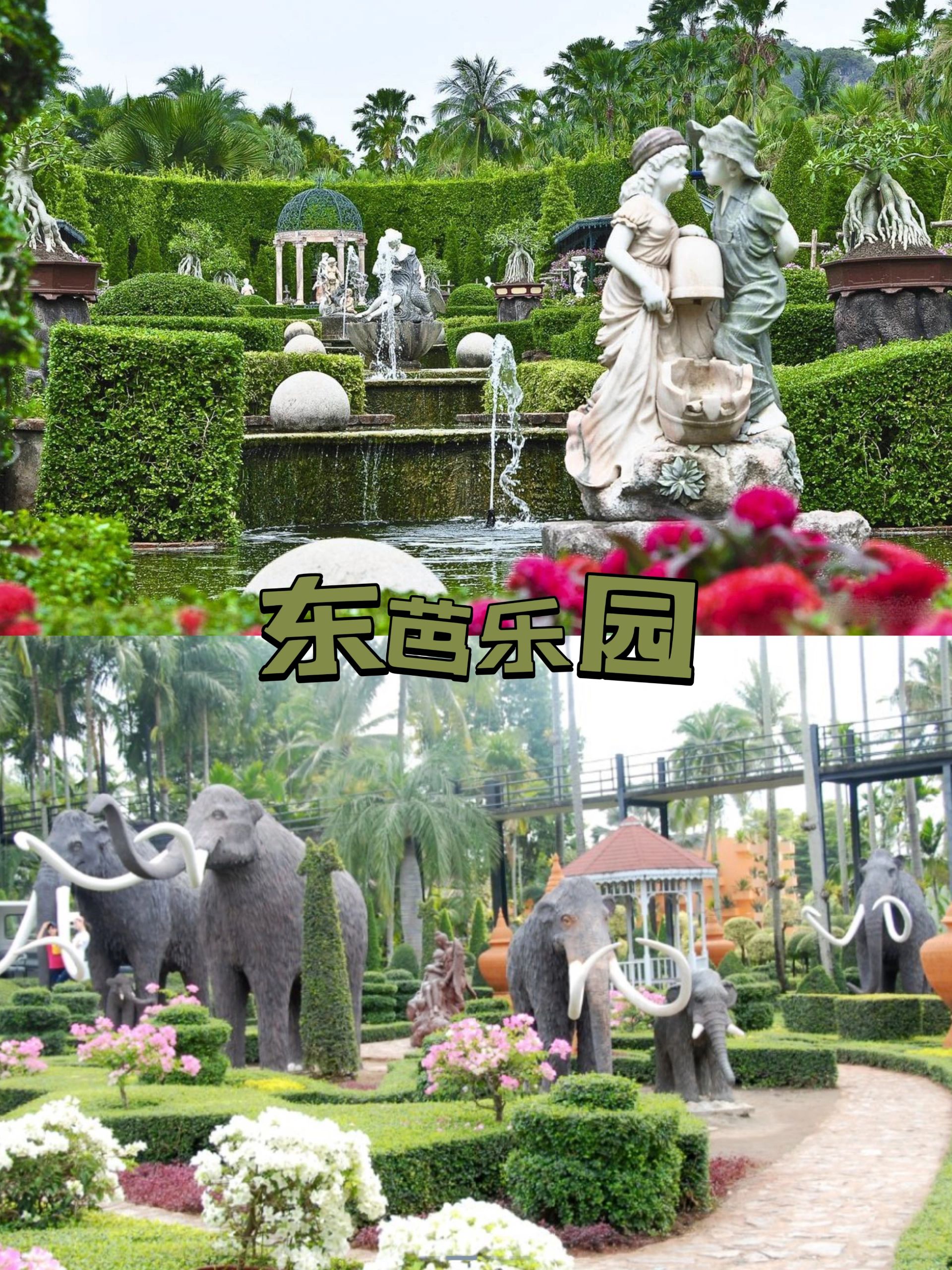 不止灯红酒绿！芭提雅亲子游的好去处