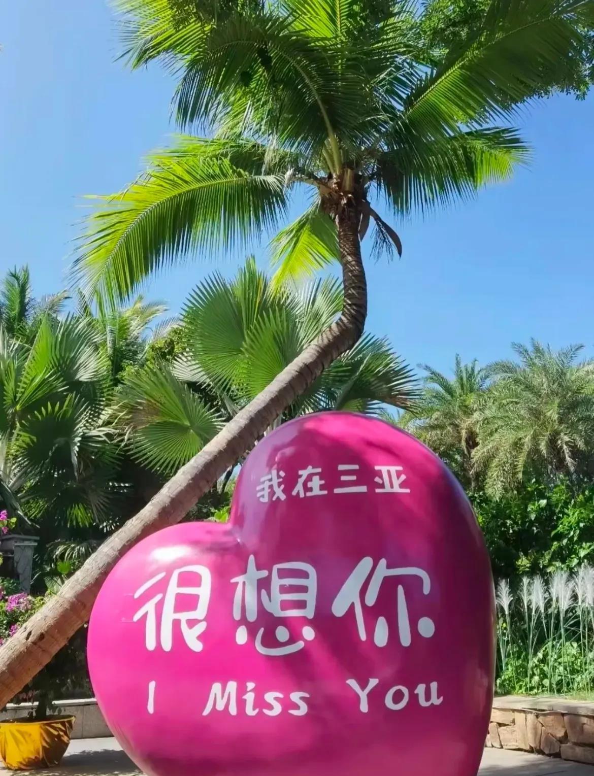 现在三亚岛上还有8万游客滞留！
有部分游客在怨声载道的怪政府！

首先第一个，这