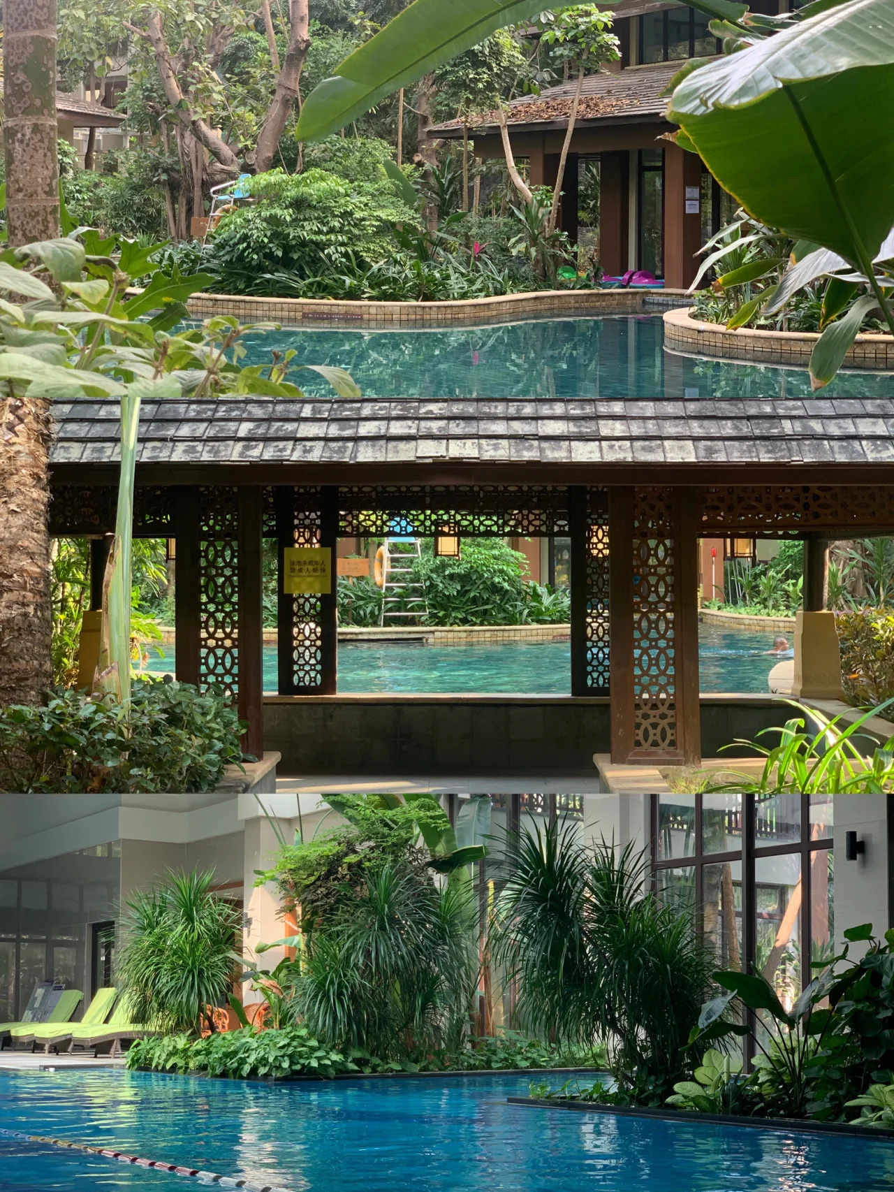 西双版纳洲际｜版纳唯一亲子必住酒店