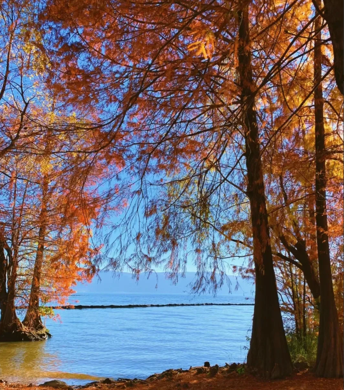 奉劝大家一定要存钱，哪怕是一两万也行，总比没有的好。我一个同学半夜打电话问我借钱