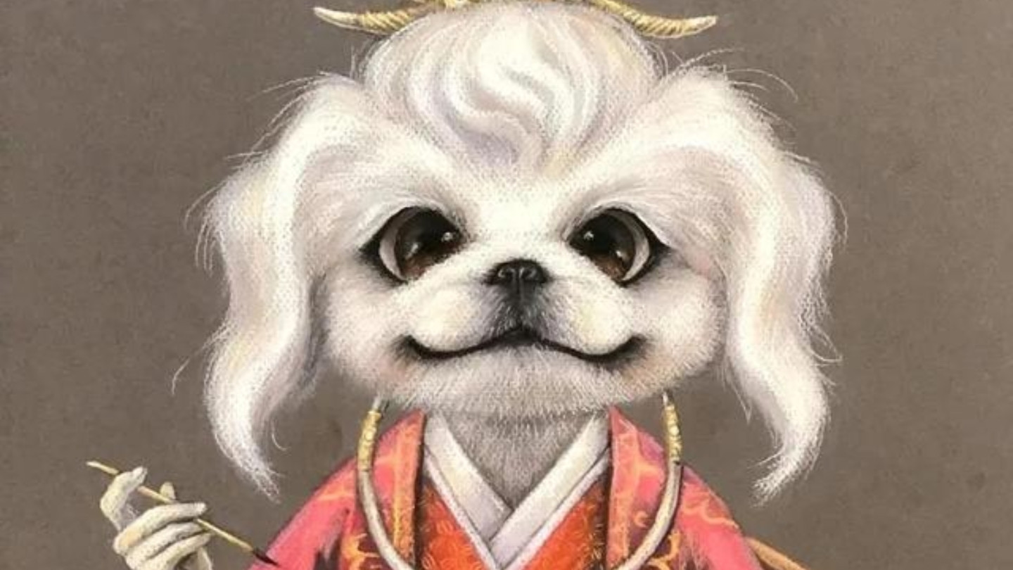 龙年，十二生肖该起势了！（三、狗、猪、鼠）