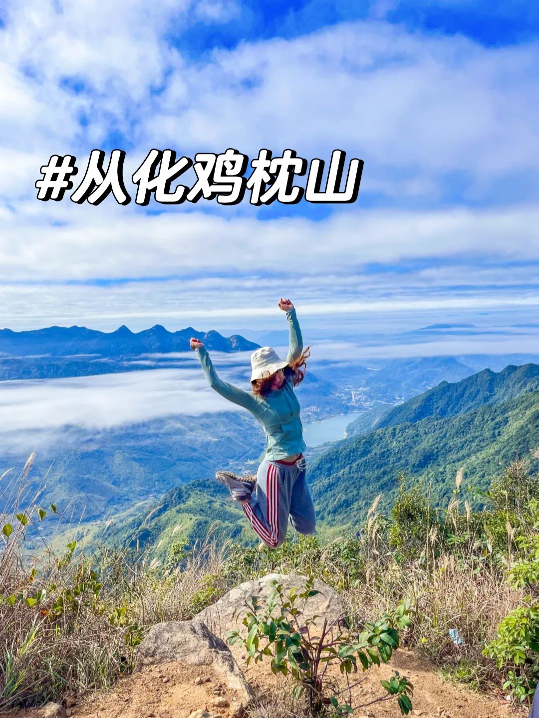 小小鸡枕山不在话下！