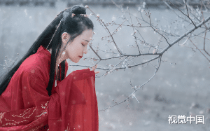 只因我有一张与他心上人酷似的脸，他对我百般折辱。多年后重逢，他却红着眼质问我：你是要跟我，还是跟他？