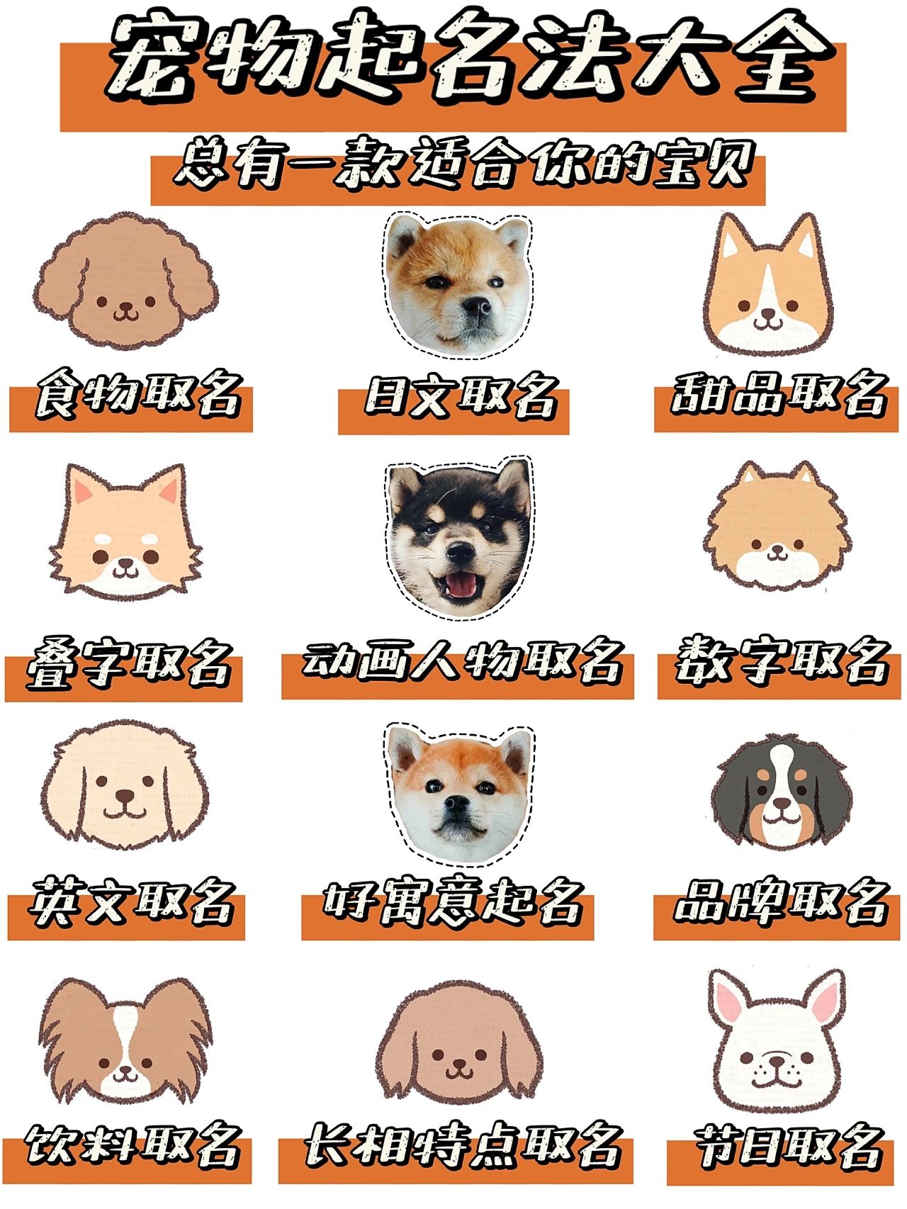 宠物起名法#狗狗名字#