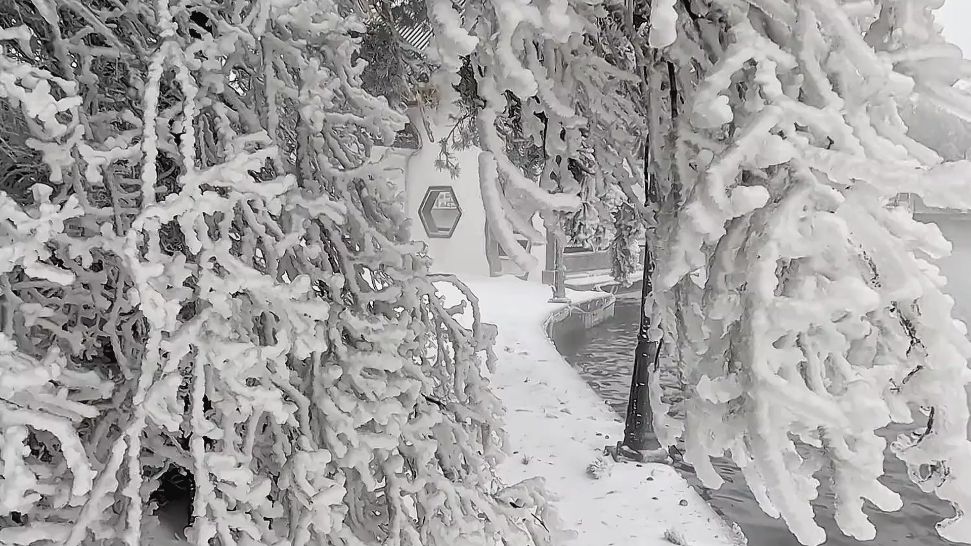 怎么能不期待庐山的雪呢