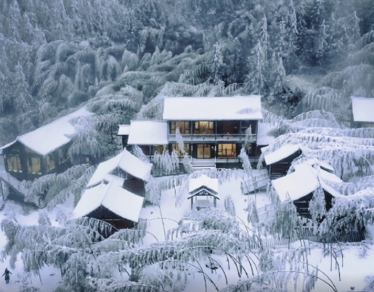广东人赏雪❄指南|不出省也能看雾凇冰挂 突如一夜的降温🥶
终于让我脱下了短袖?