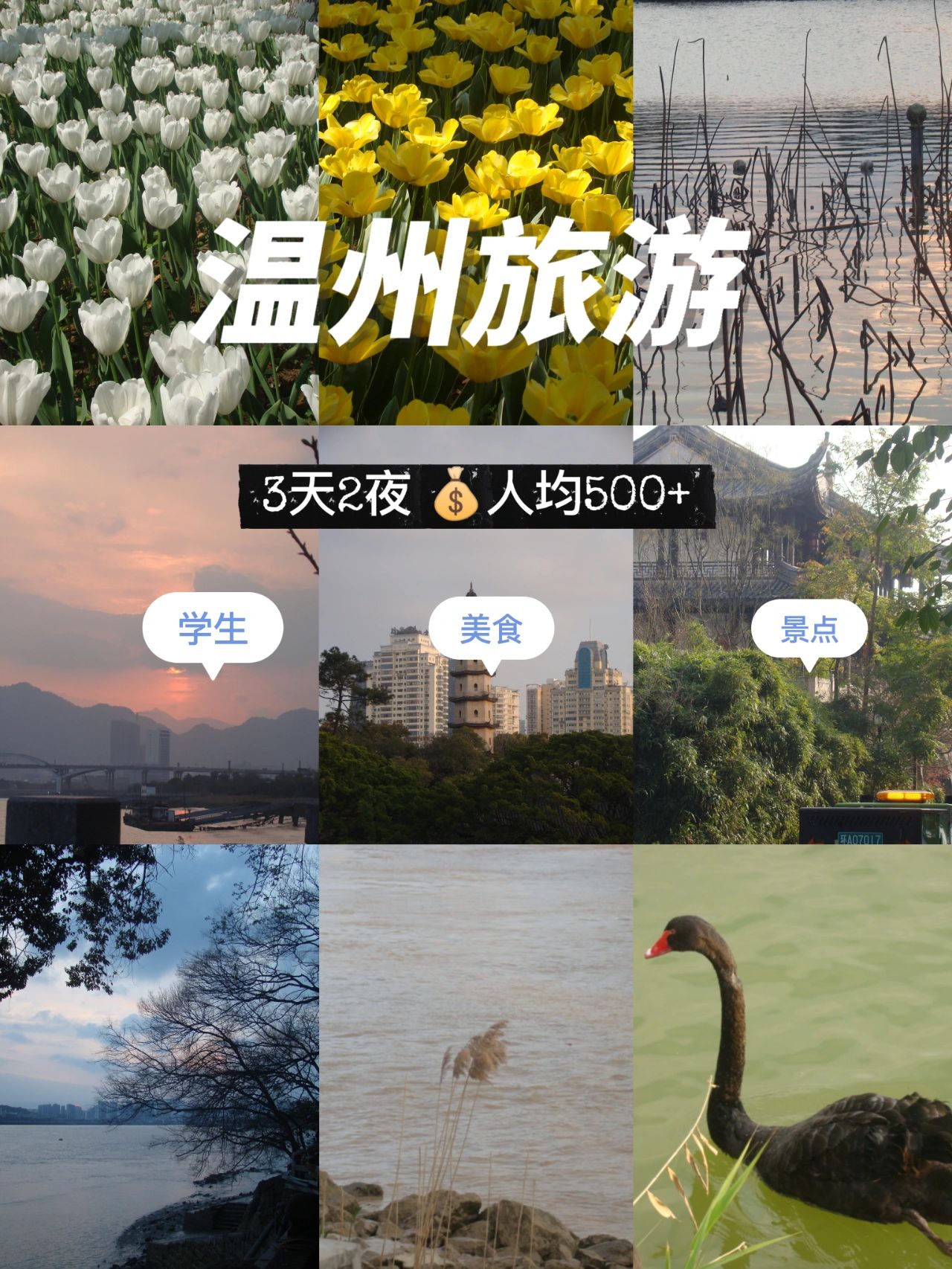 温州旅游，学生党三天两夜攻略