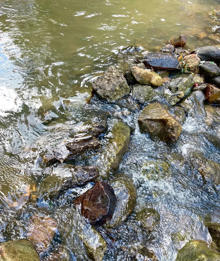 公交直达广州玩水露营溯溪山谷