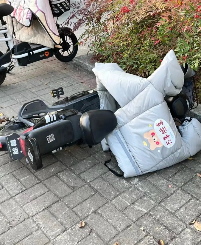 街道旁，有一辆电动自行车倒在了路旁。我准备扶起来，结果看到了不可思议的一幕：三只