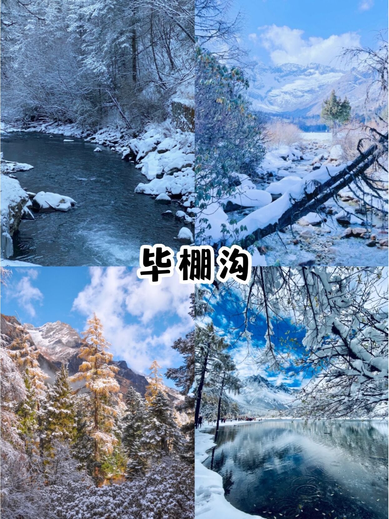 11-1月份冬日恋曲.川西雪日游