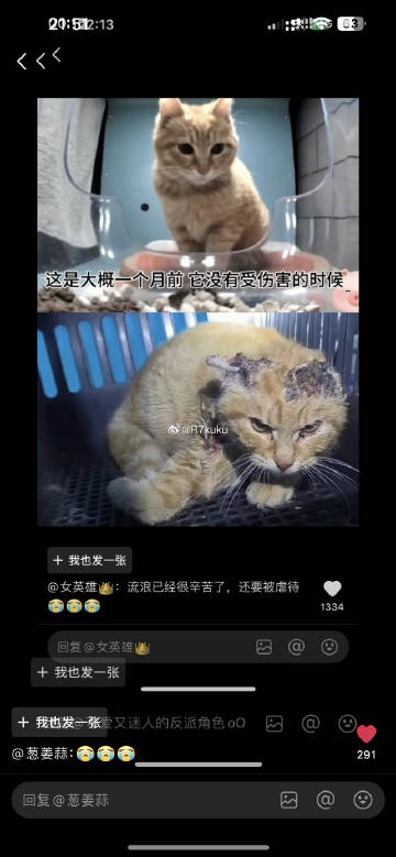 求你们立法吧，求求了
