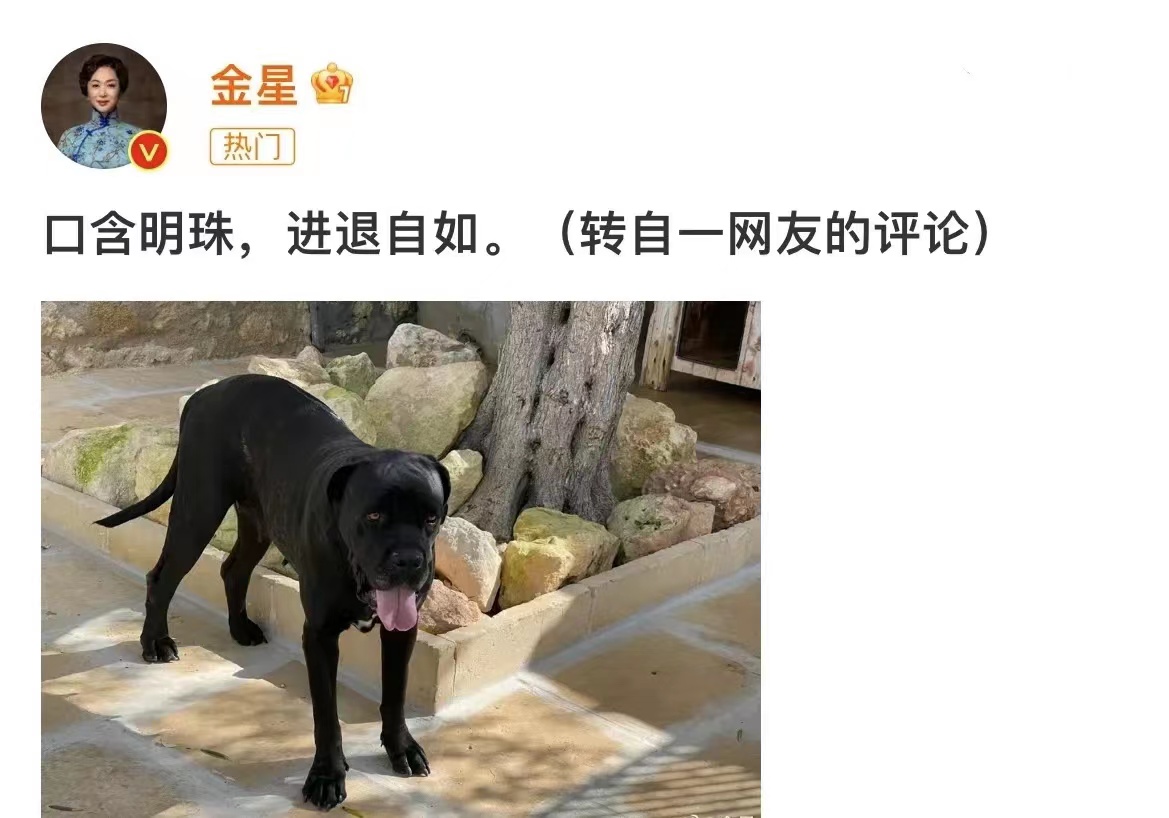 董明珠，懵圈了
金星的舆论，让她差点崩溃

金星是不是和董明珠有过节，还是和王自