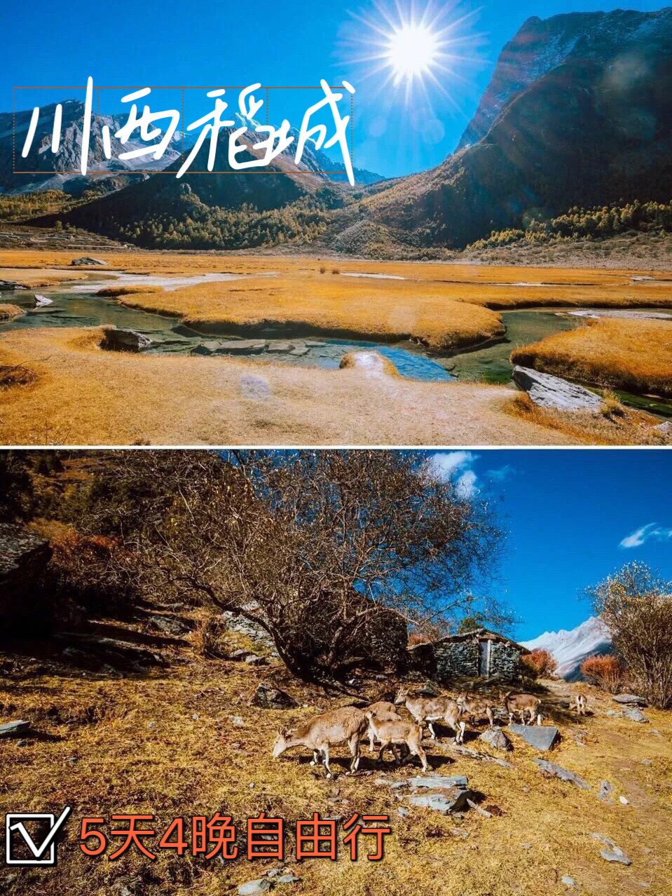 稻城亚丁 川西的秋天