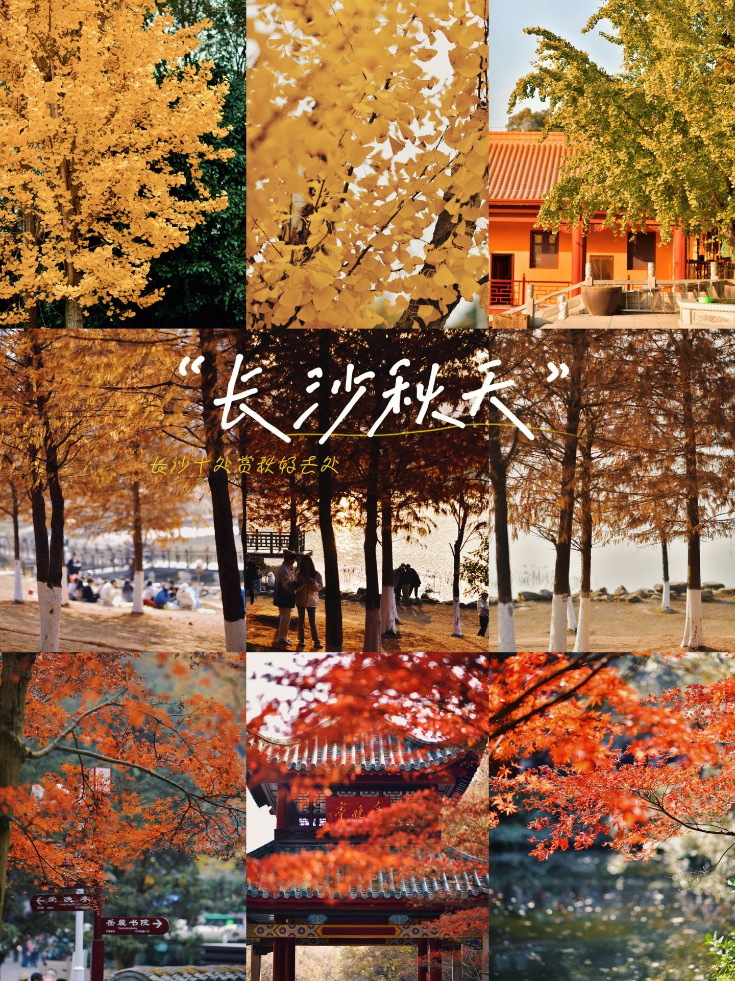 来长沙赏秋，11月这十处秋景美如画