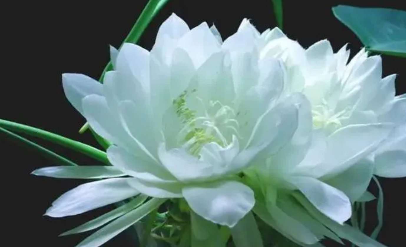 过去人穷，人爱人，现在人富，人害人，过去人少，人帮人，现在人多，人骗人。我那年代