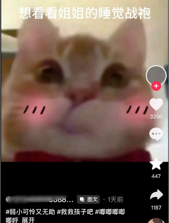 评论区看得特别舒心[awsl] ​​​