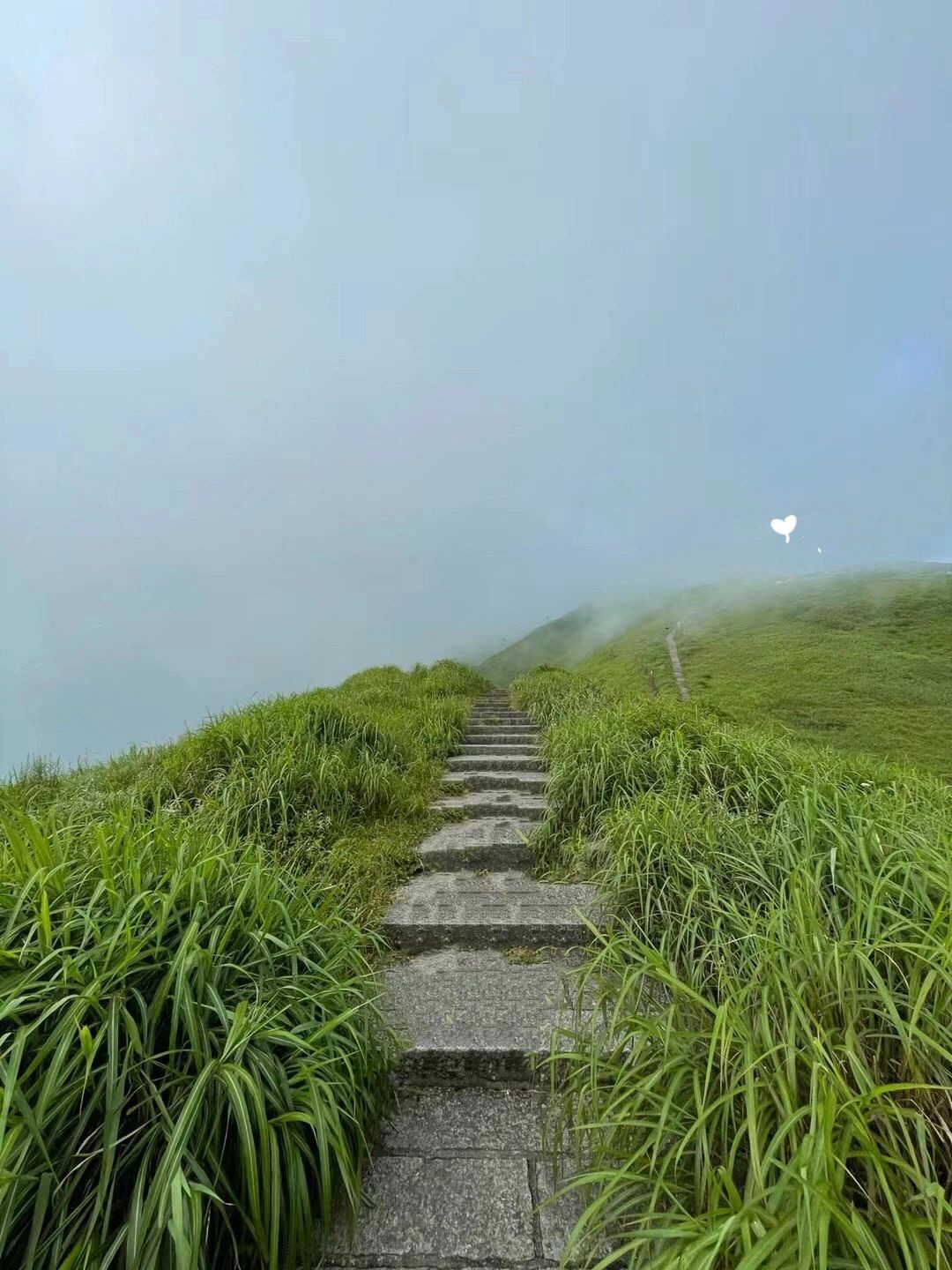 答应我一定要去一次武功山/带娃/旅游攻略