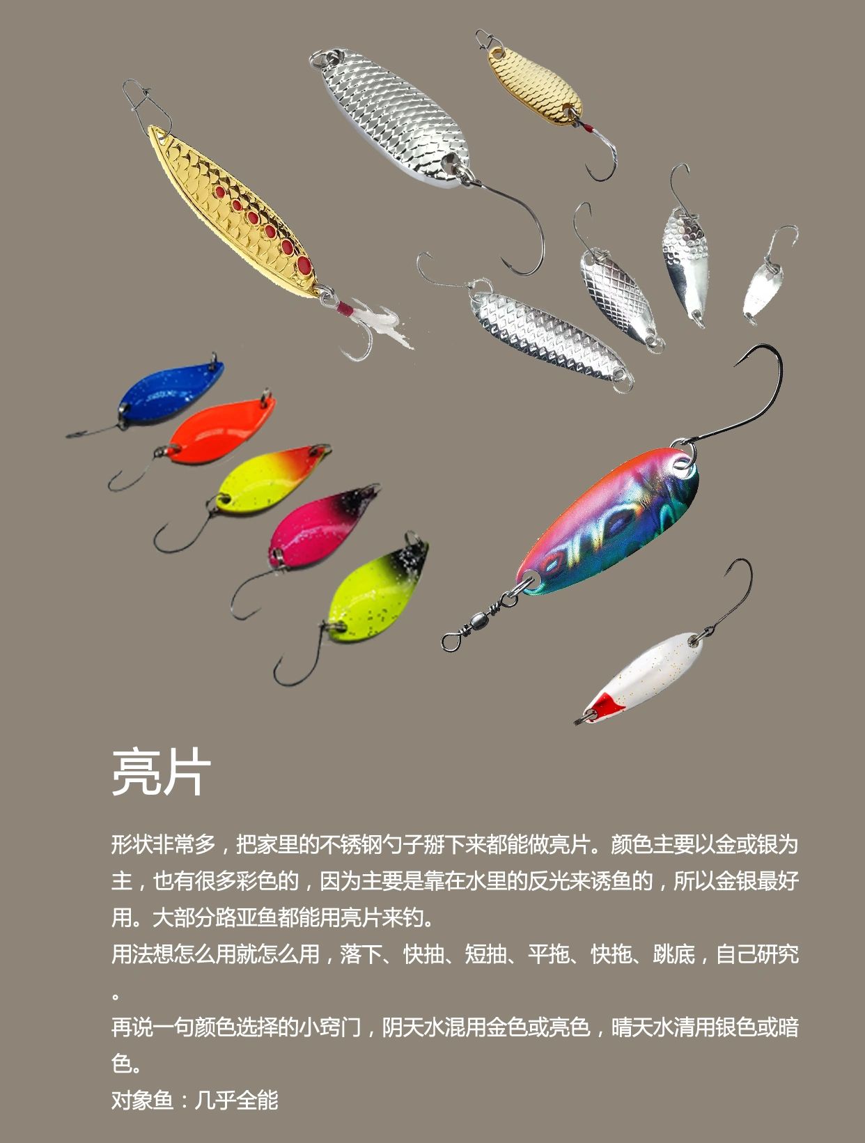 新手必须认识的路亚十种常见饵型