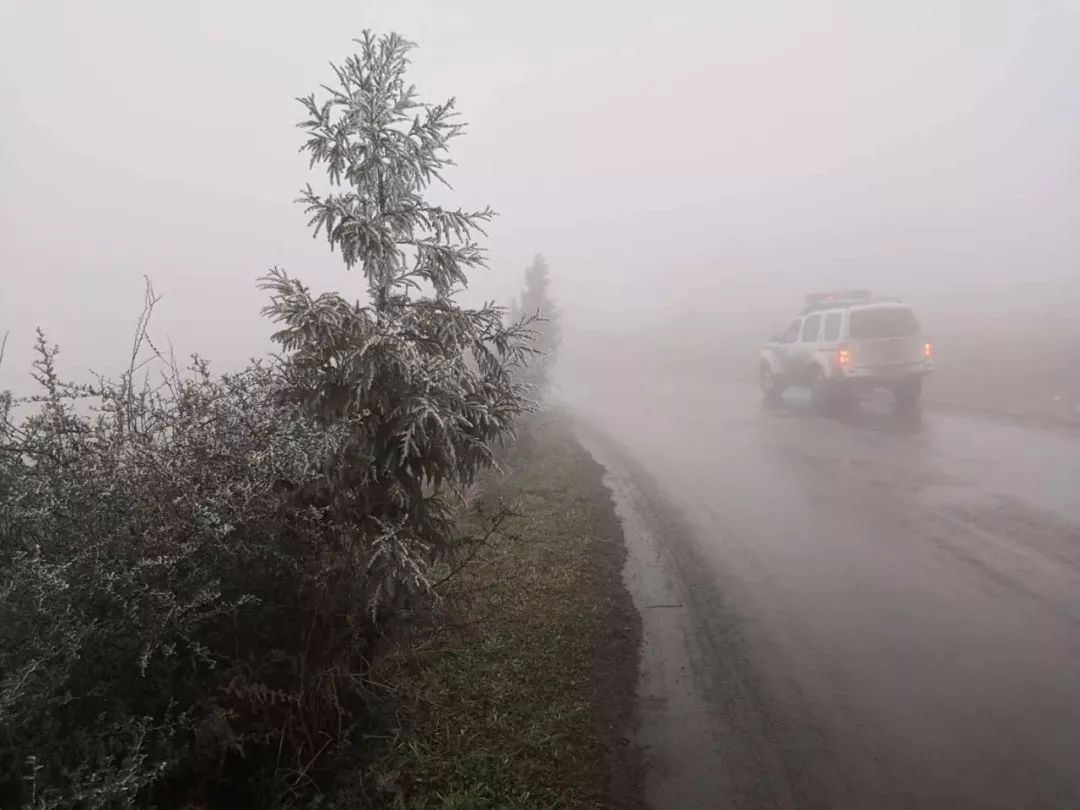 【大降温！今年首场大范围雨雪即将登场】

最近这几天的温度，是不是让大家回到了阳