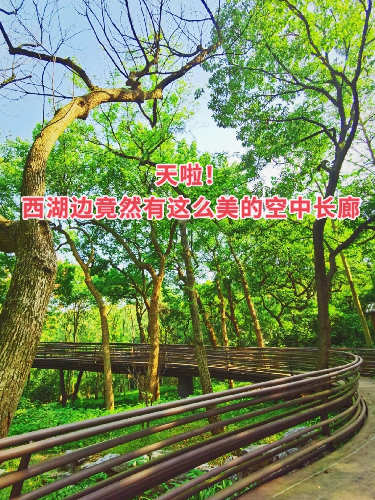 杭州溜娃/西湖边最小众绝美的空中长廊