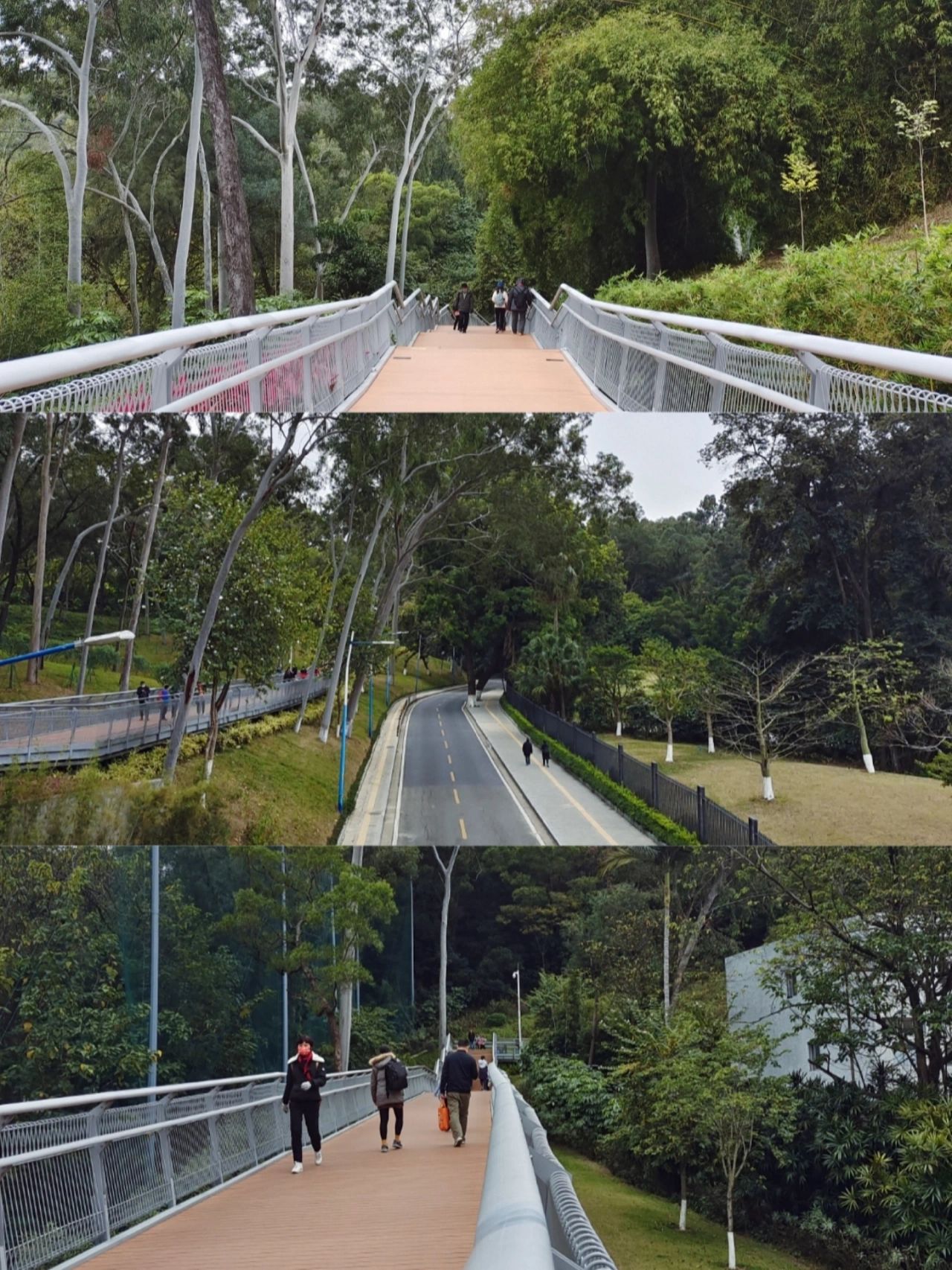 广州云道☁轻徒步精华路线🗺️全家总动员