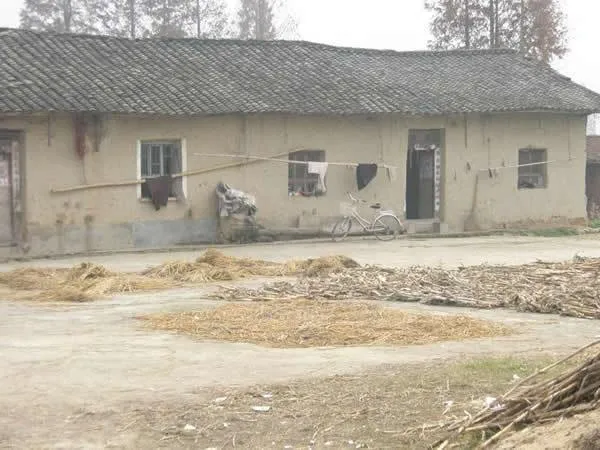 今天老家的村主任打电话给我，说老家的房子新建高铁要拆迁，问我是要钱还是要宅基地。