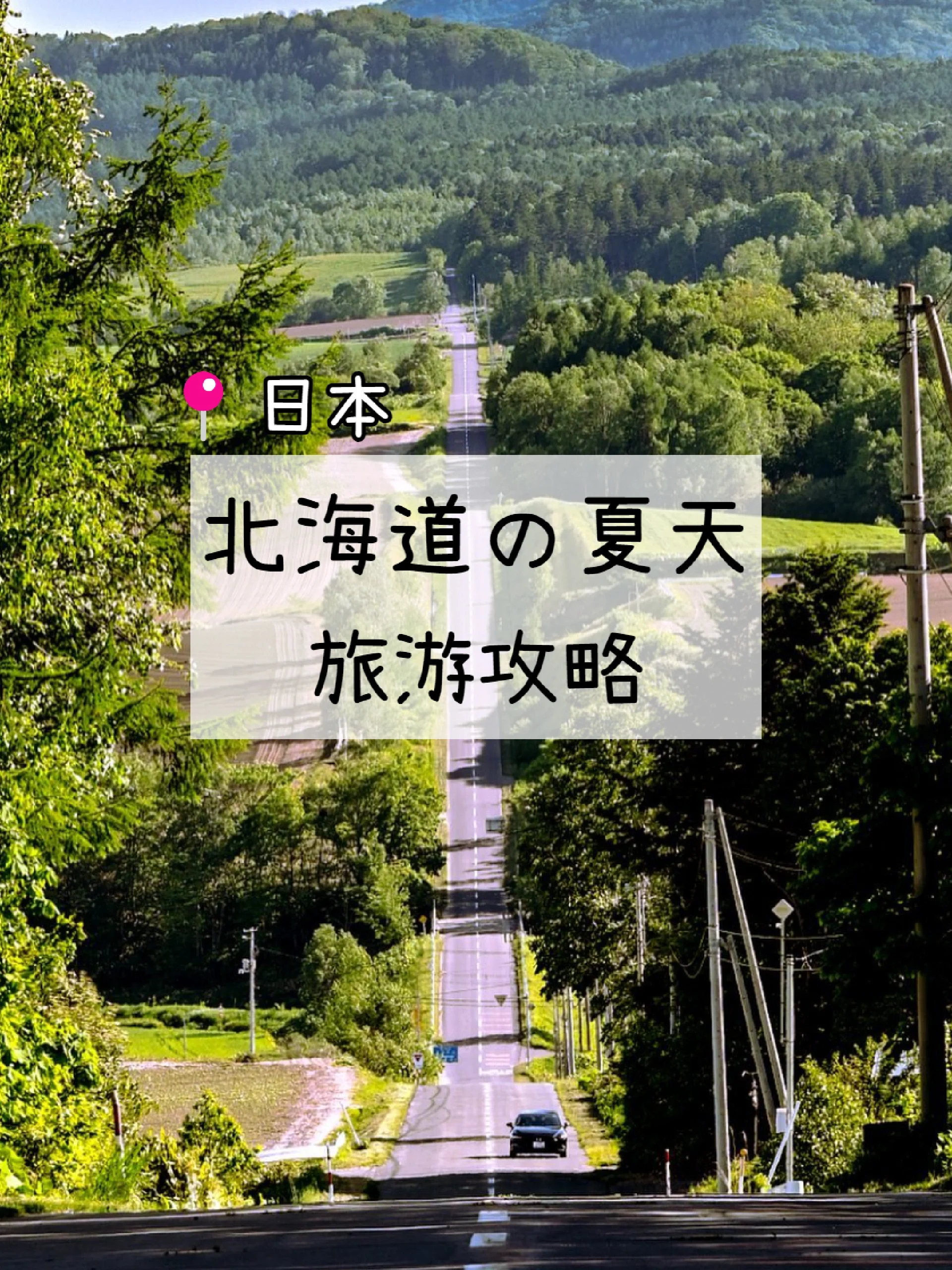 夏天的北海道旅游攻略|玩转日本🇯🇵