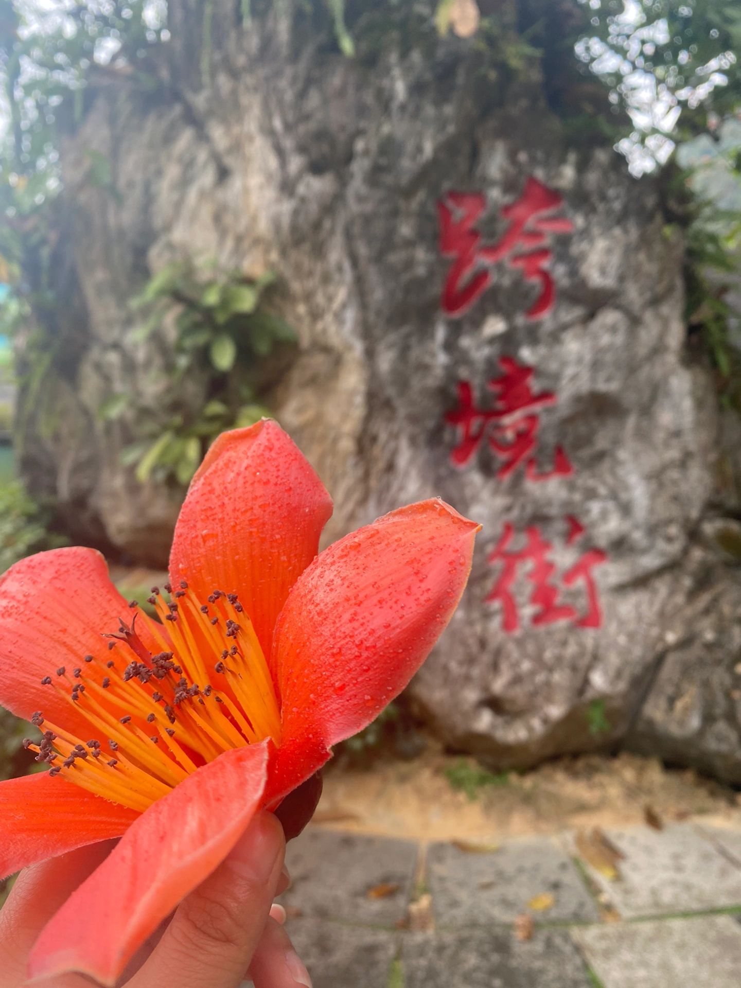 德天瀑布自驾游之傻瓜版攻略