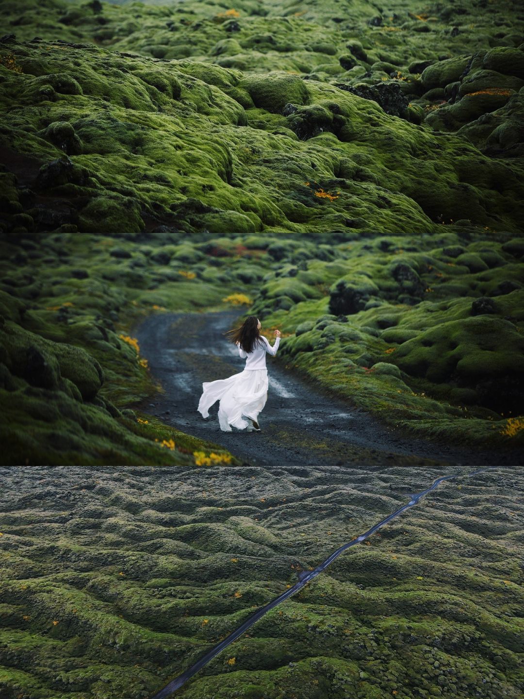 治愈系冰岛｜这片小众苔原有精灵的魔法吧
雨天遇见Eldhraun的苔原
也许是我