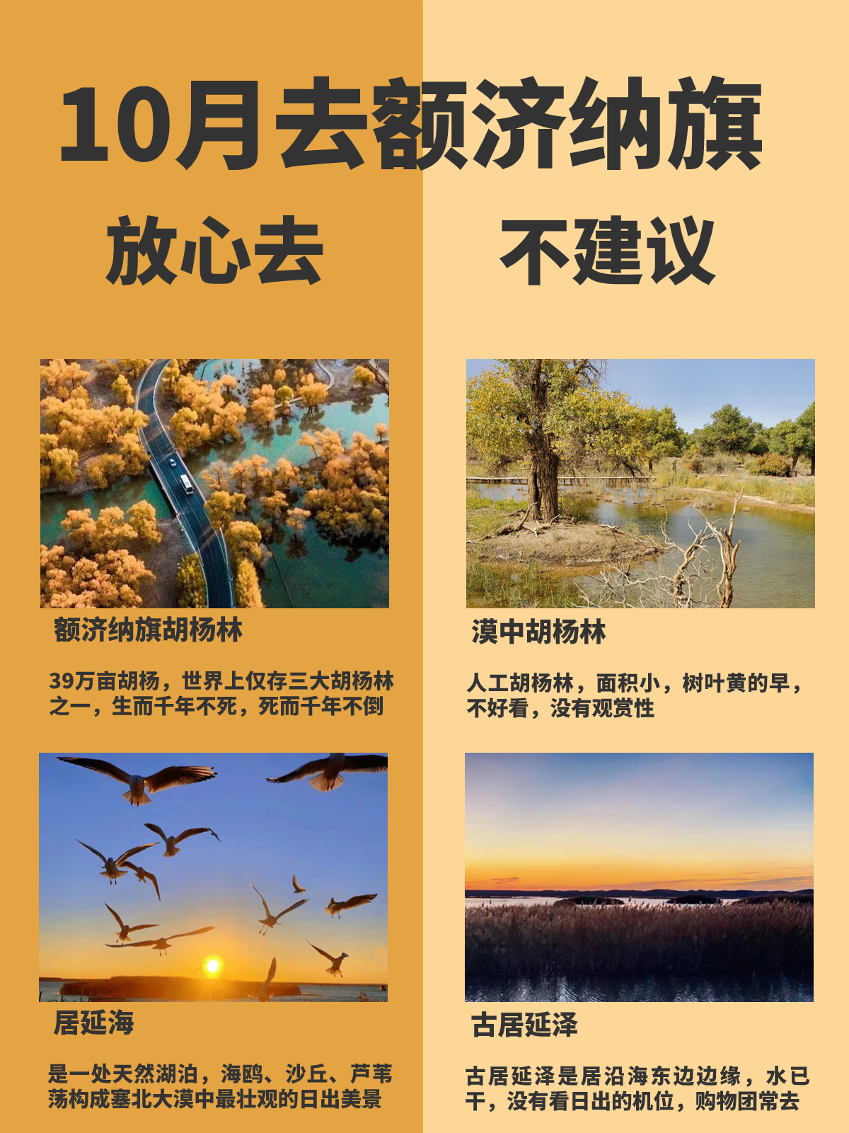 10月去额济纳旗旅游满满干货，建议收藏