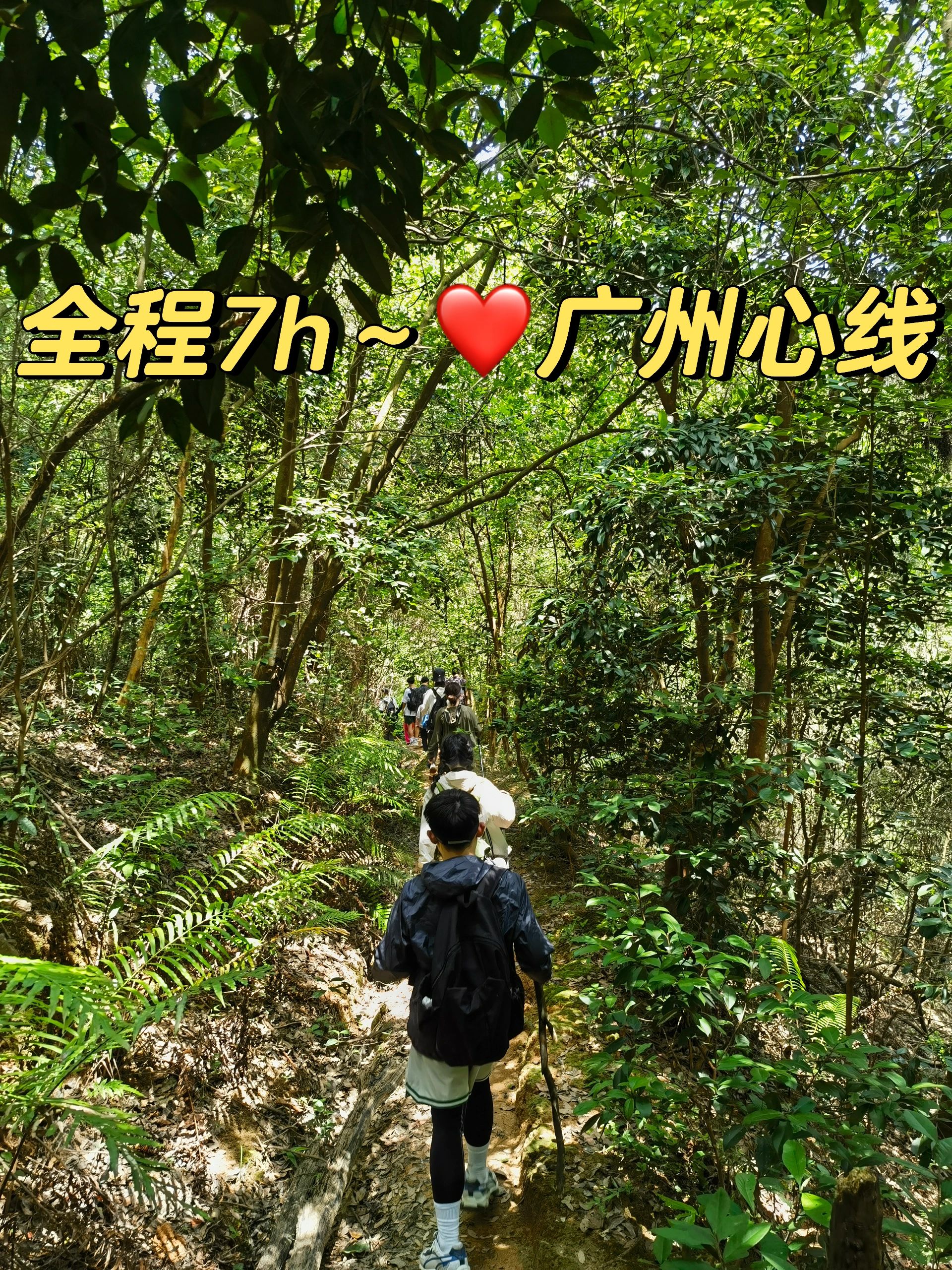 徒步记录-广州爱心线