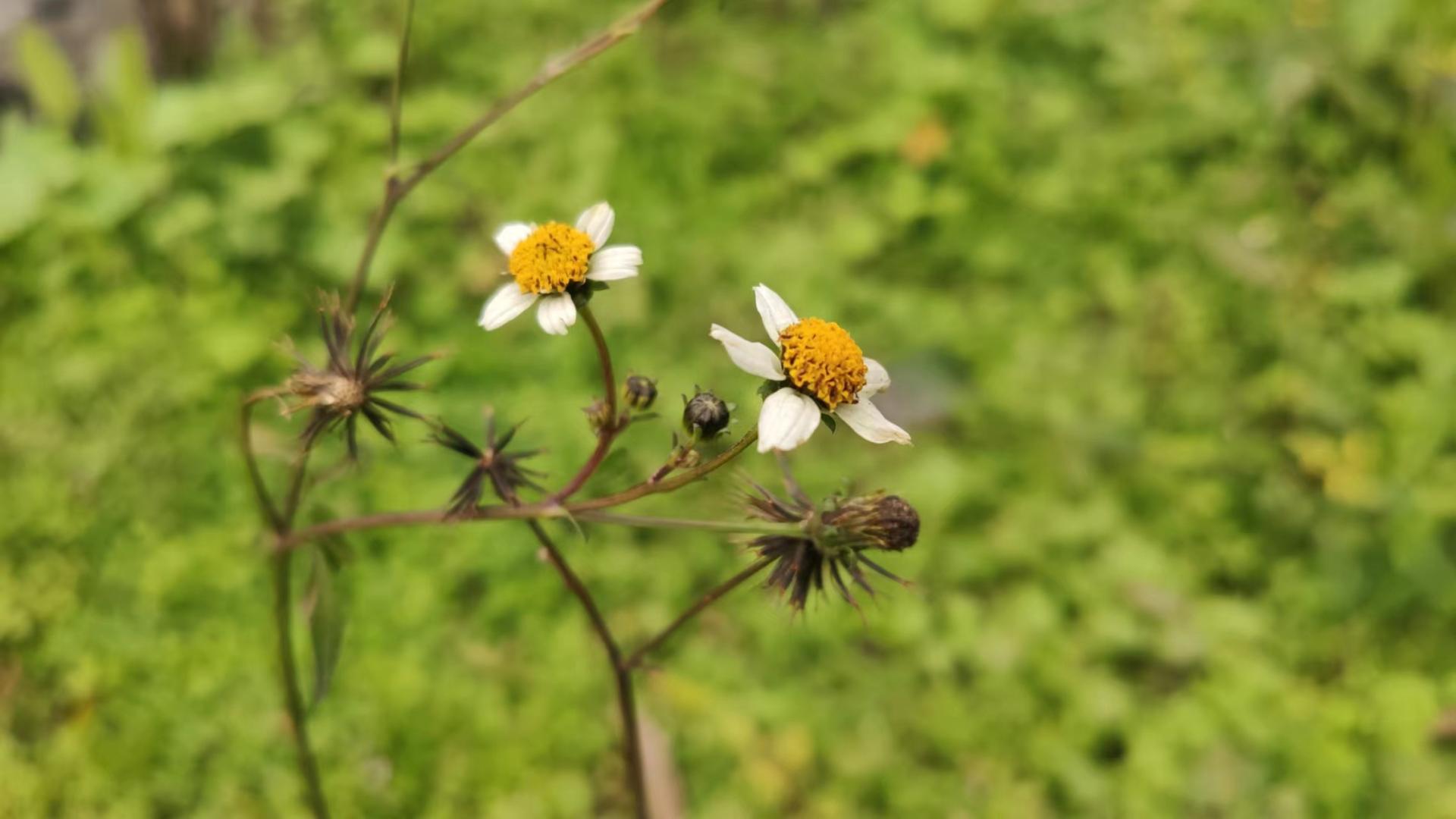 闰二月传统习俗有哪些？闰二月出生的人好吗？有哪些禁忌？