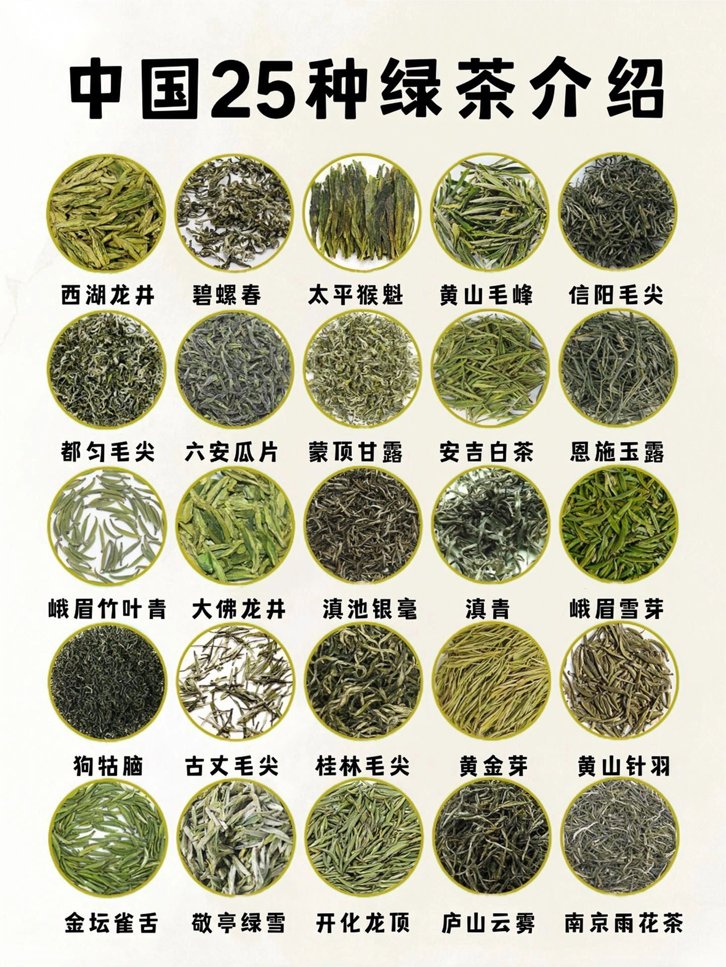 名茶绿茶#绿茶有哪些品种#