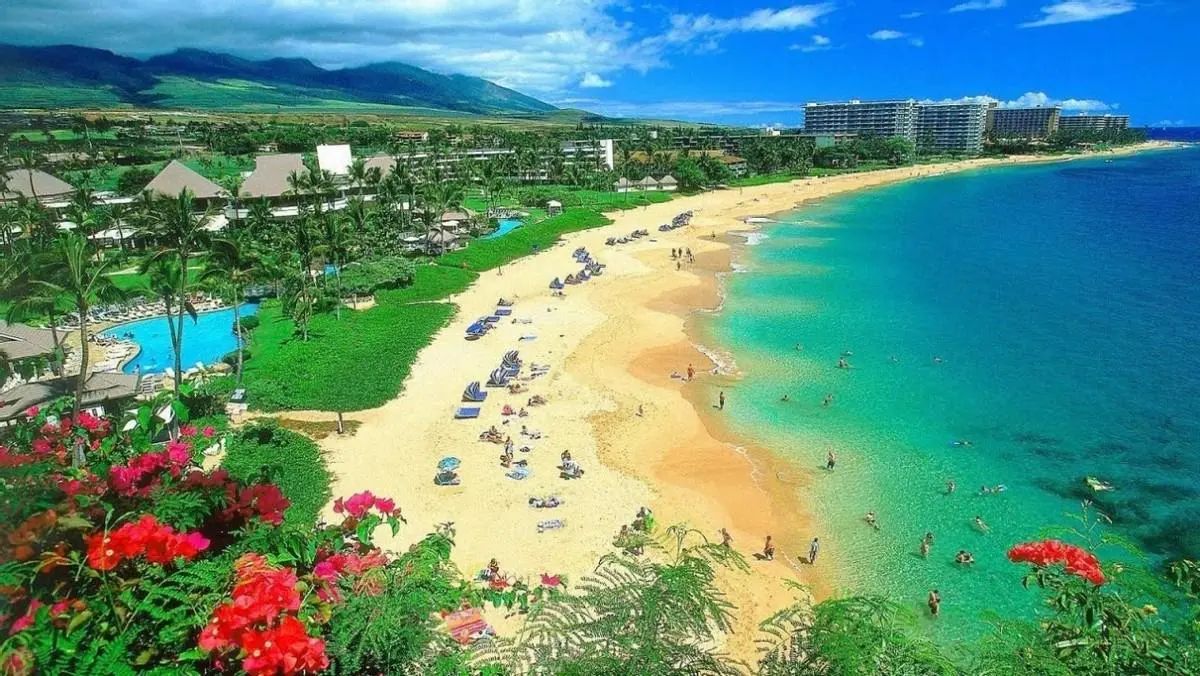 夏威夷航空推出19美元机票, 帮助游客逃离火灾中的毛伊岛